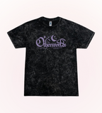 Inverted Otherworlds Stonewash Tee