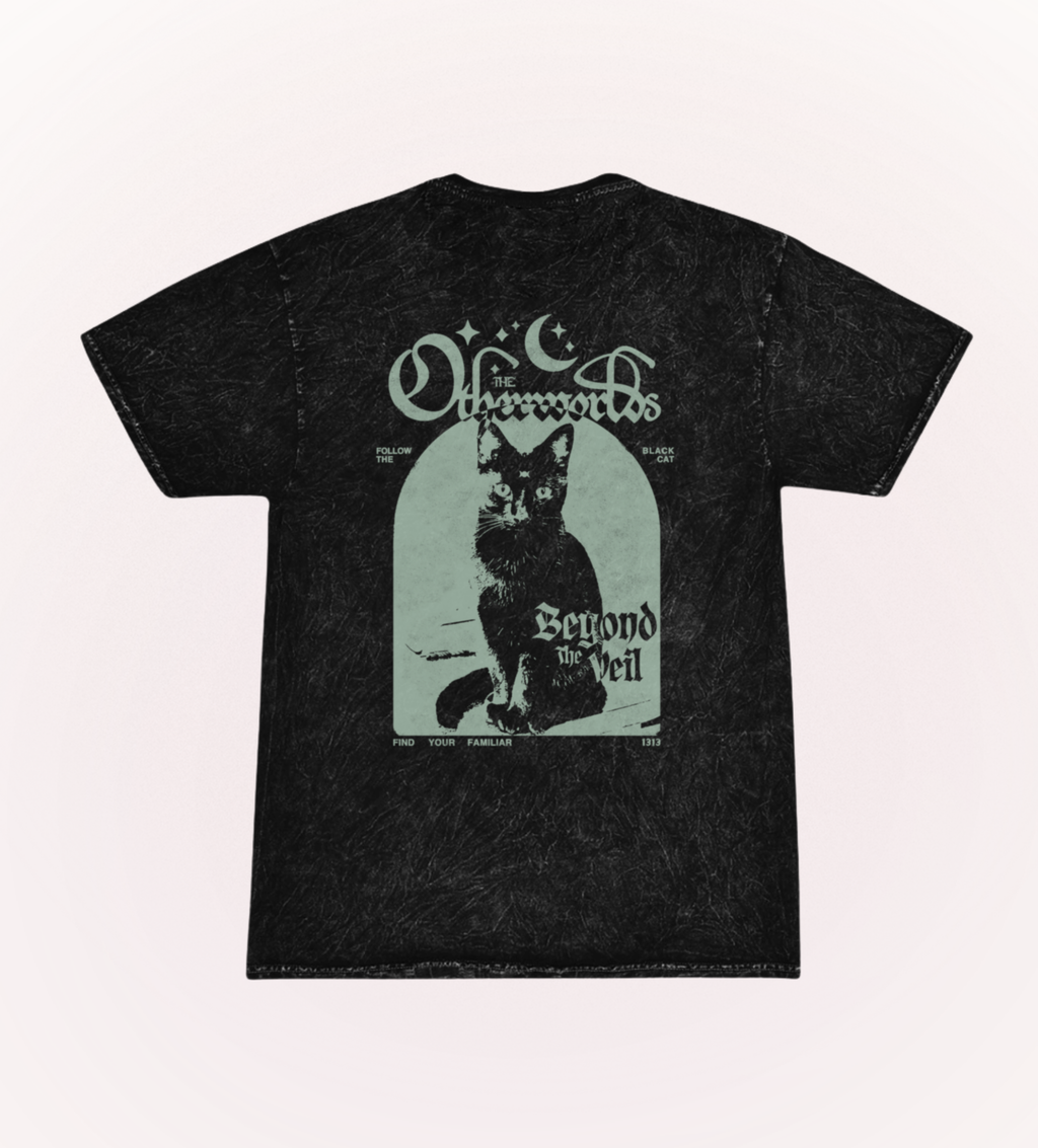 Inverted Otherworlds Stonewash Tee