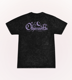 Otherworlds Stonewash Tee