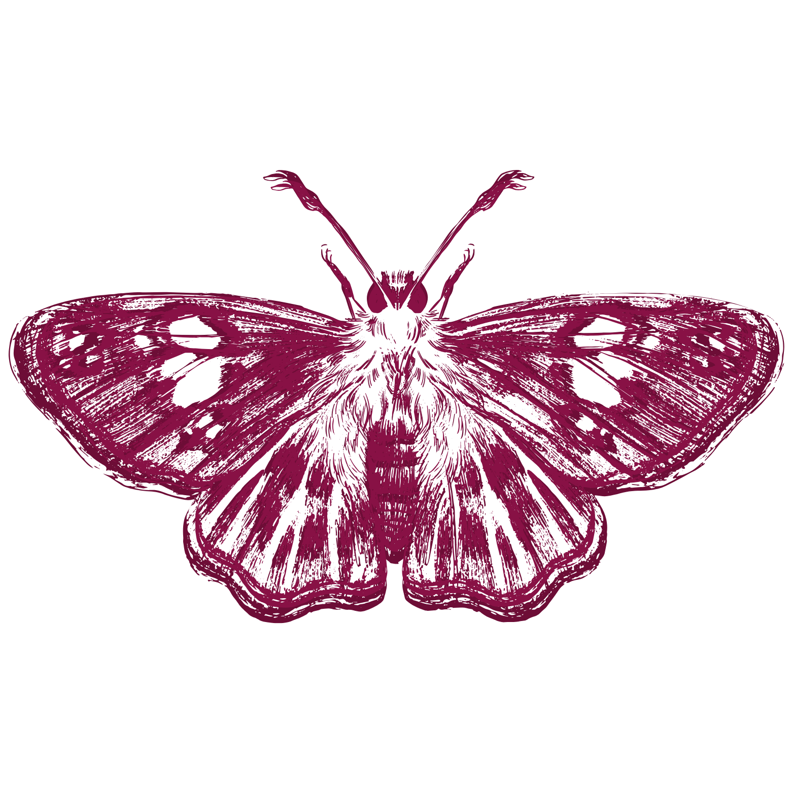 Rosewood & Co is loading, please wait...